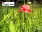 Titelbild - 2250 m² Ackerland