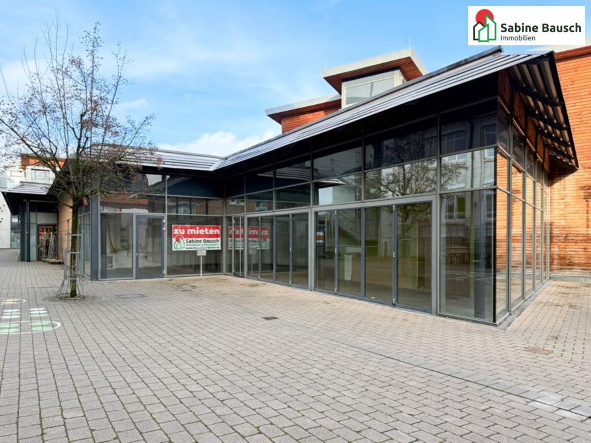 2 Kundeneingangstüren + Glasschiebeelemente