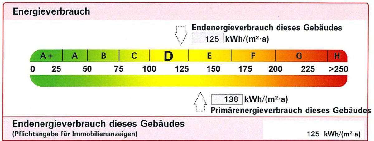 Auszug aus dem Energieausweis