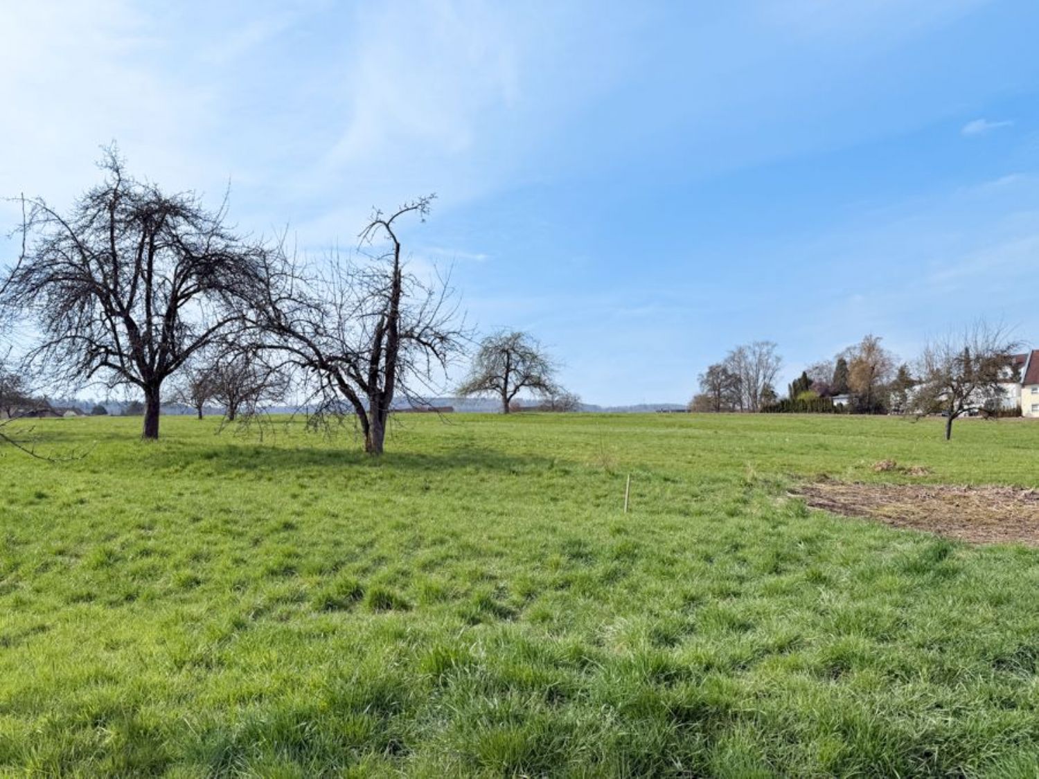 Die angrenzende Wiese