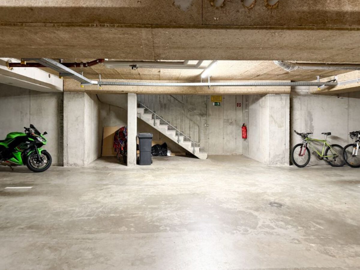 Treppen zur TG bzw. in das UG