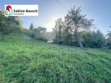 Dornrösschen Garten – Prinz gesucht!, 73630 Remshalden, Freizeit