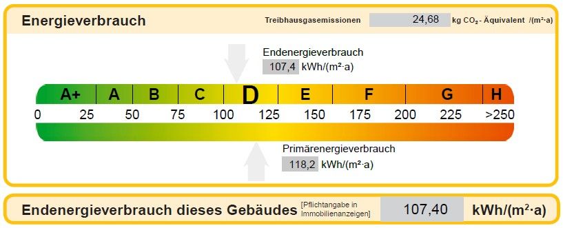 Auszug aus dem Energieausweis